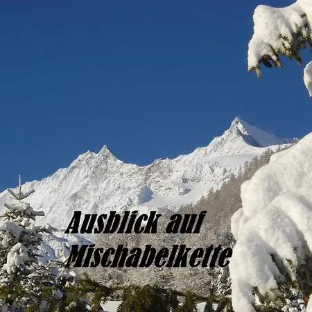 Appartamento Acimo Appartement-fewo 2-bettwohnung Edelweiss By Interhome Saas-Fee